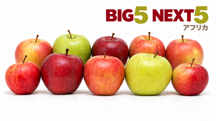 アフリカBIG4に続く有望な国は？モロッコ、コートジボワール、エチオピア、ガーナ、タンザニア、コンゴ民の「NEXT5」を解説