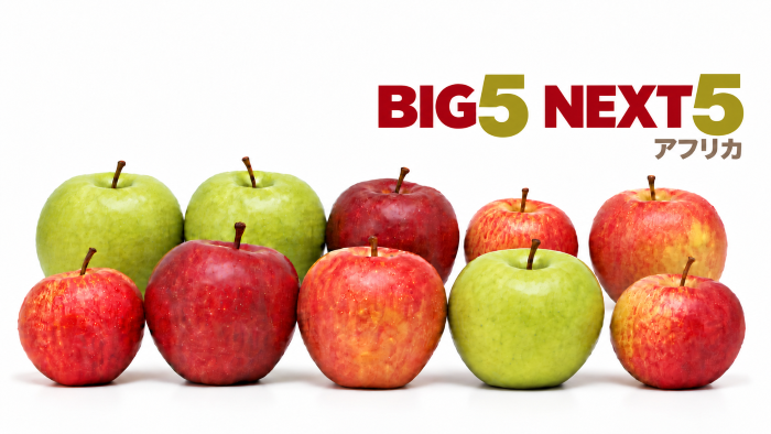アフリカBIG4に続く有望な進出国は？モロッコ、コートジボワール、エチオピア、ガーナ、タンザニア、コンゴ民の「NEXT5」を解説